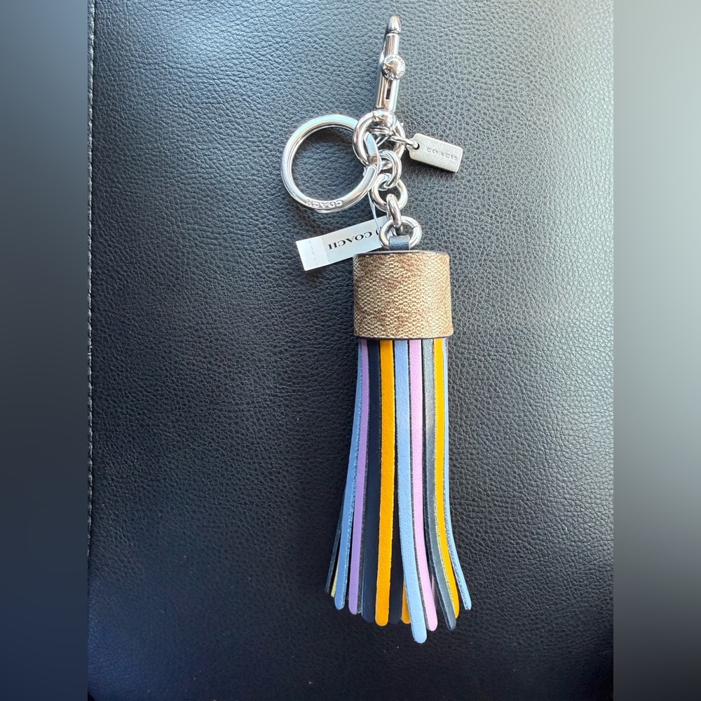 Coach Multicolor Leather Tassel Keychain